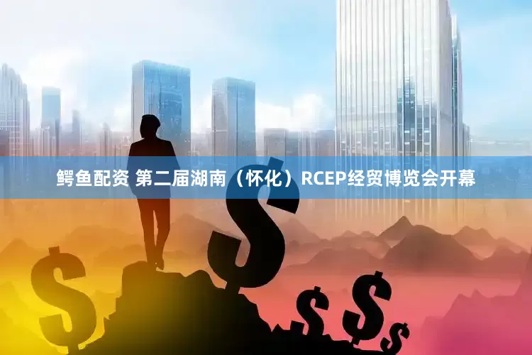 鳄鱼配资 第二届湖南（怀化）RCEP经贸博览会开幕