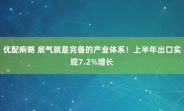 优配痢略 底气就是完备的产业体系！上半年出口实现7.2%增长
