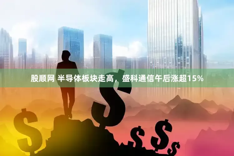 股顺网 半导体板块走高，盛科通信午后涨超15%