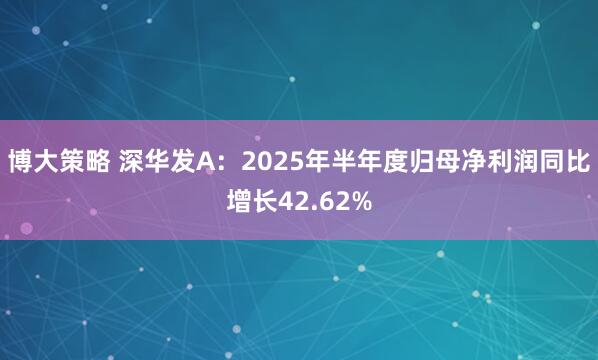 博大策略 深华发A：2025年半年度归母净利润同比增长42.62%
