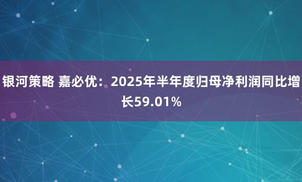 银河策略 嘉必优：2025年半年度归母净利润同比增长59.01%