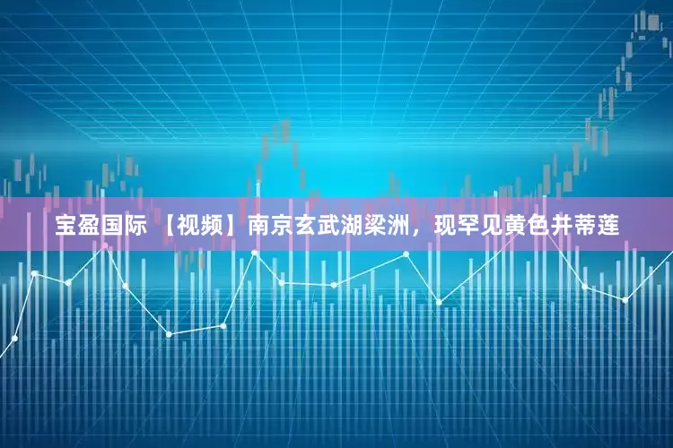 宝盈国际 【视频】南京玄武湖梁洲，现罕见黄色并蒂莲
