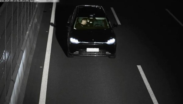 好易配资 女子高速上开智驾酣睡