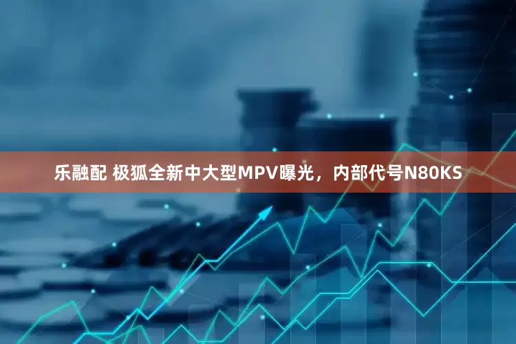 乐融配 极狐全新中大型MPV曝光，内部代号N80KS