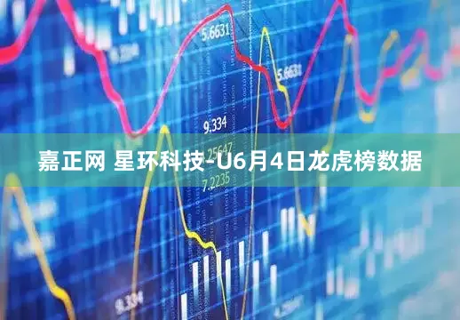 嘉正网 星环科技-U6月4日龙虎榜数据